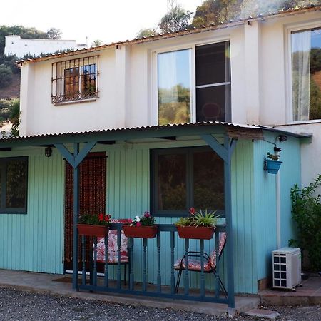 Vegan Guesthouse Finca Pereila Coín Eksteriør bilde
