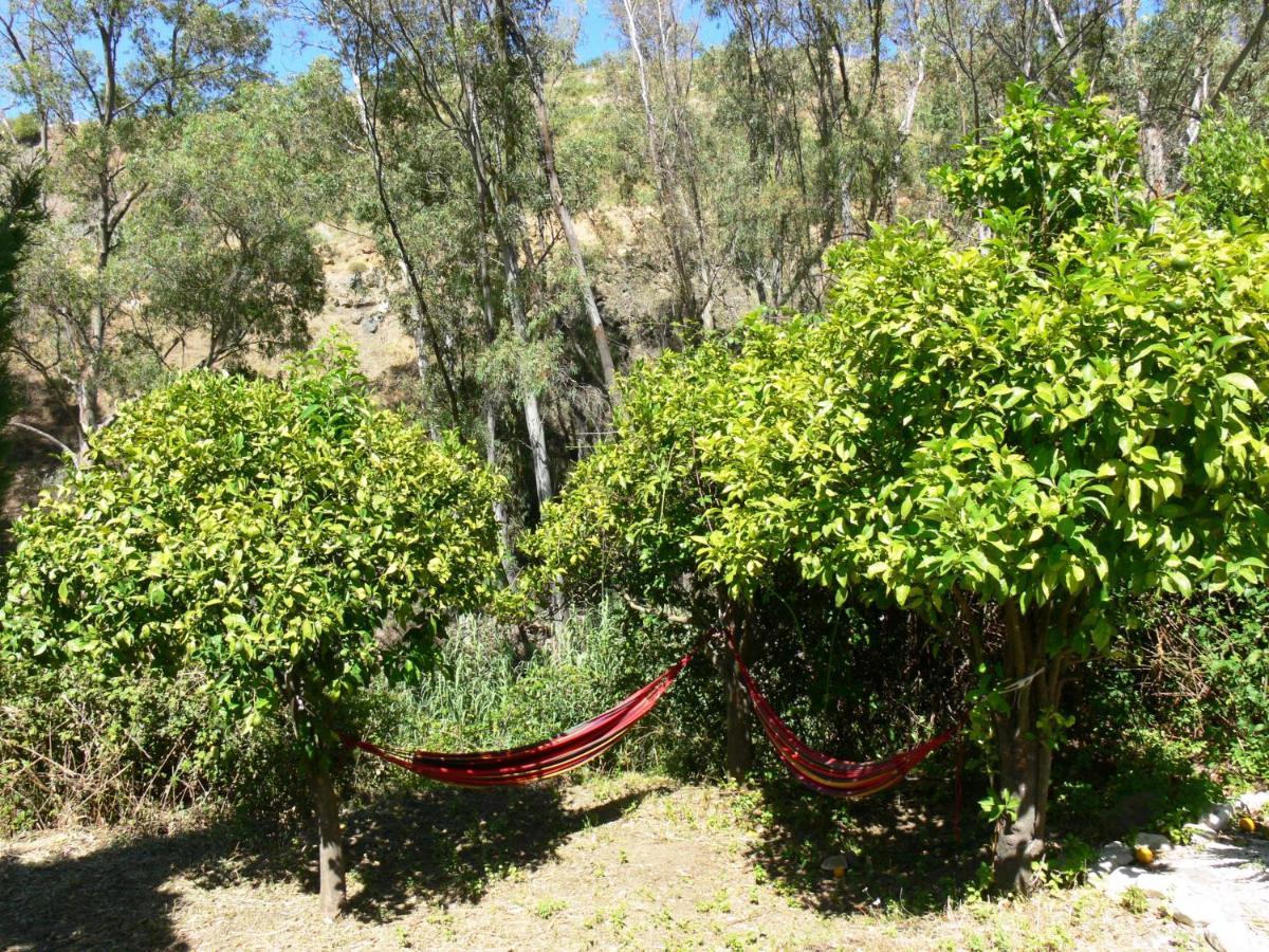 Vegan Guesthouse Finca Pereila Coín Eksteriør bilde