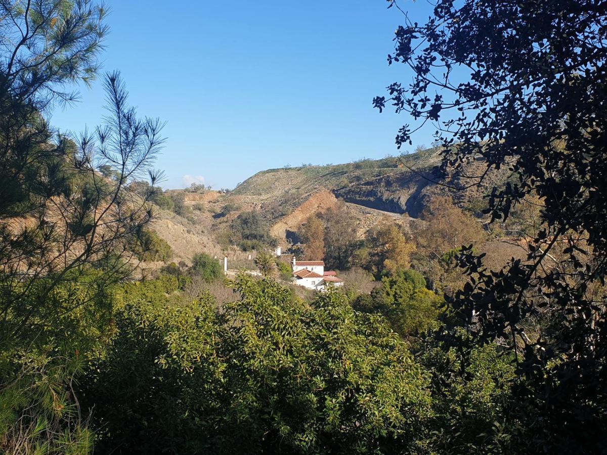 Vegan Guesthouse Finca Pereila Coín Eksteriør bilde