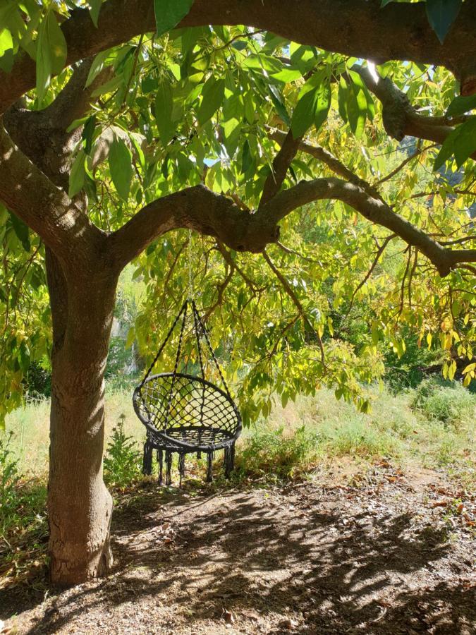 Vegan Guesthouse Finca Pereila Coín Eksteriør bilde